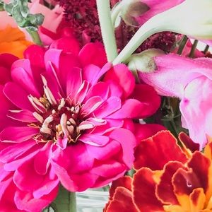 Meet your Posher, Olivia